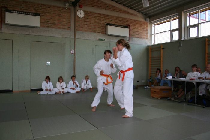 vereinspruefung 2006