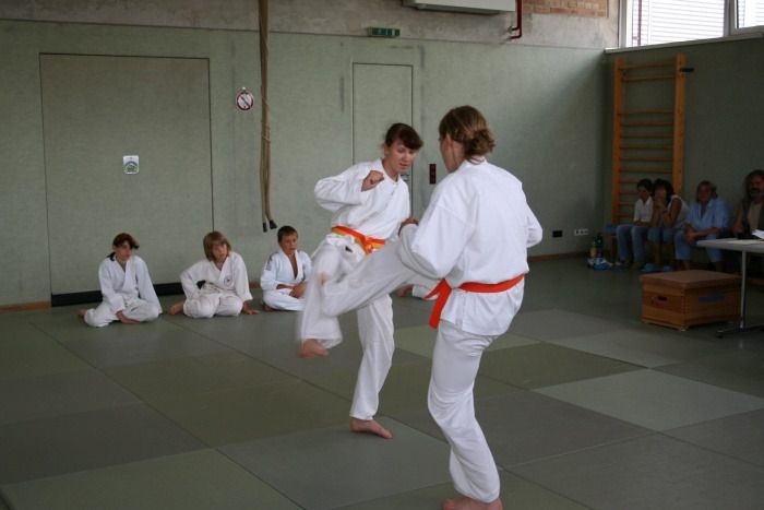 vereinspruefung 2006