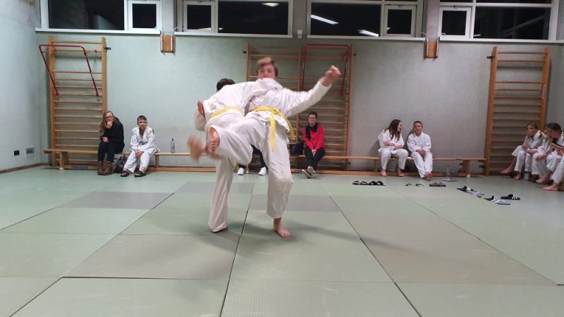 vereinspruefung 2023