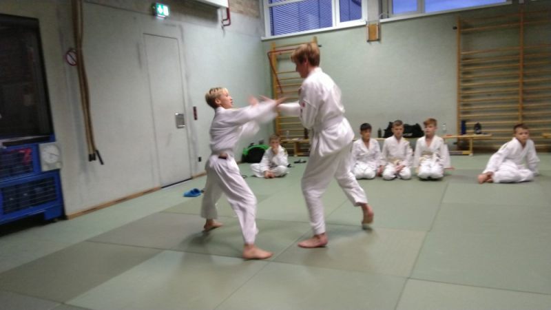 vereinspruefung 2019