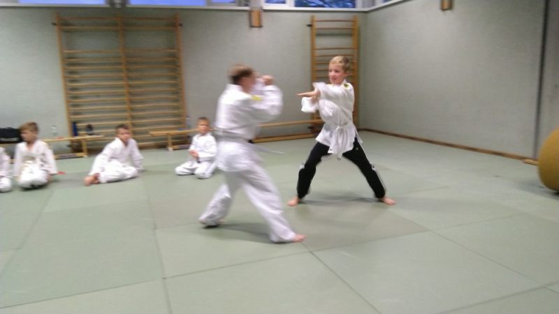 vereinspruefung 2019