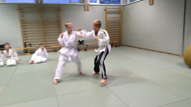 vereinspruefung 2019