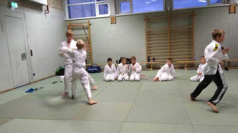 vereinspruefung 2019