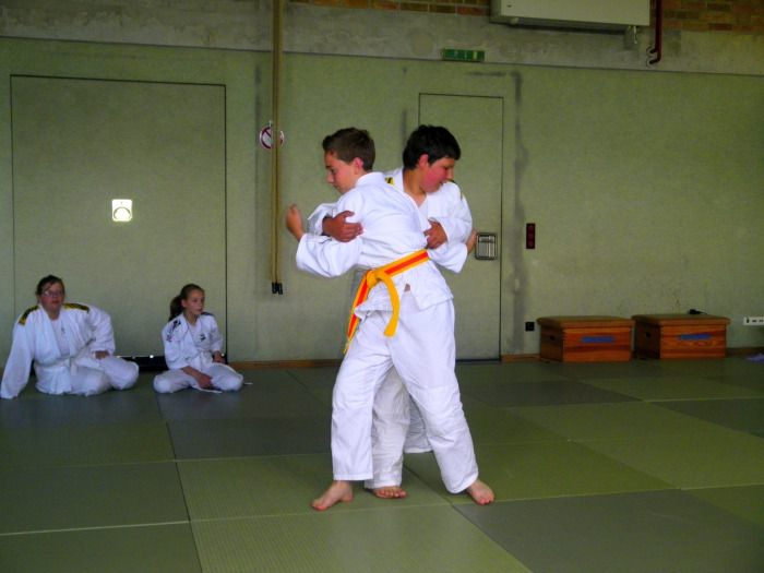 vereinspruefung 2013