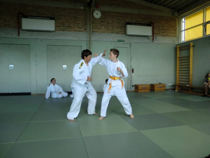 vereinspruefung 2013