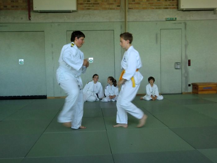 vereinspruefung 2013