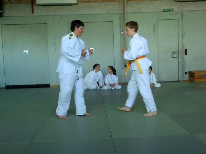 vereinspruefung 2013