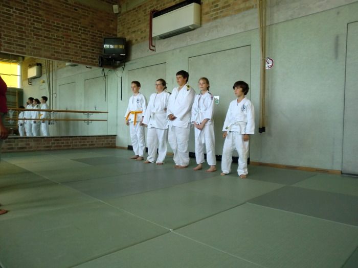 vereinspruefung 2013