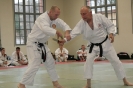 2006