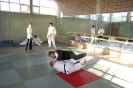 Training_7