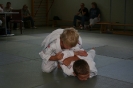 Vereinsprüfung Juli_30