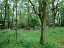 Kletterpark_14