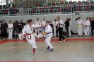 LM2011_52