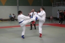 LM2011_80