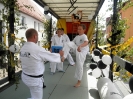 Festumzug 2012_17