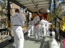Festumzug 2012_20