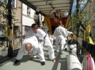 Festumzug 2012_21