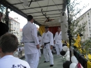 Festumzug 2012