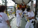 Festumzug 2012_9
