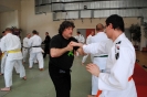 Ju-Jutsu Akademie 2013