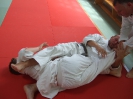 Akademie 2014_12