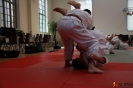 Ju-Jitsu Akademie 2017